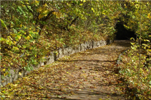Парк Софиевка, Умань